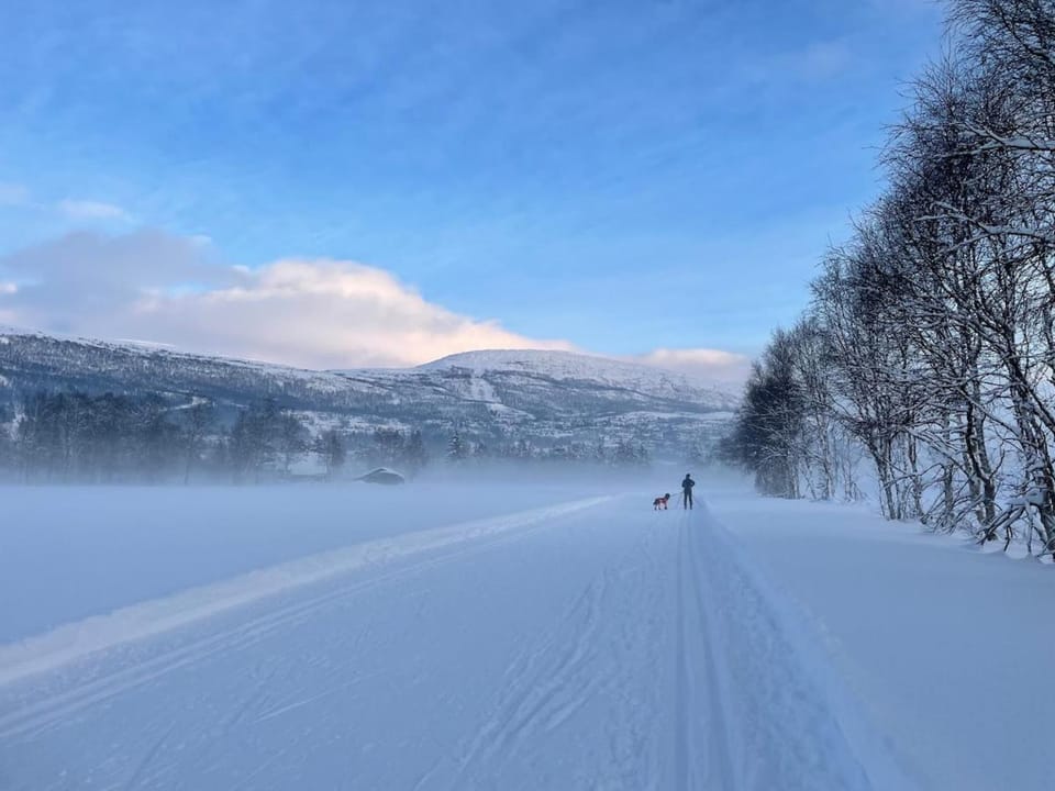 Natural landscape, Winter, Skiing