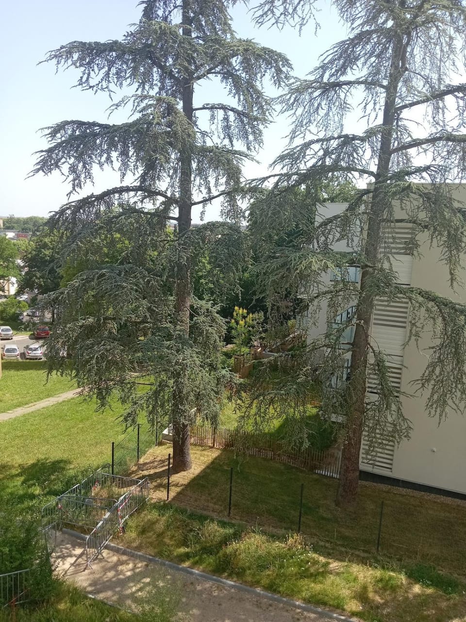 one room to rent in cozy appartment Vacation rental in Villefranche-sur-Saone