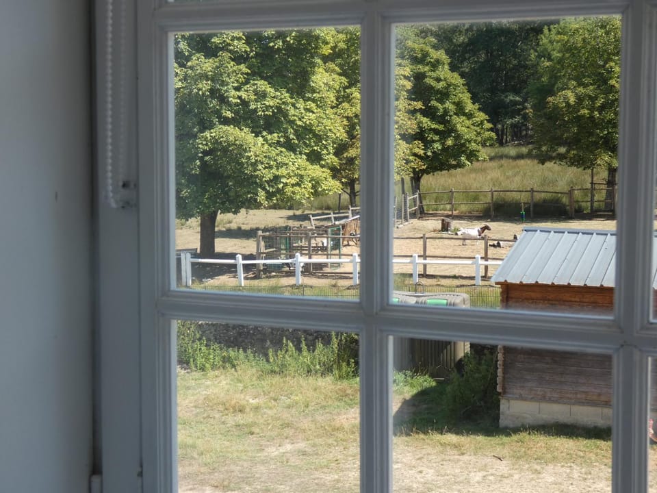 Gîte du Parc Animalier de Boutissaint - Le Sanglier House in Bourgogne-Franche-Comté
