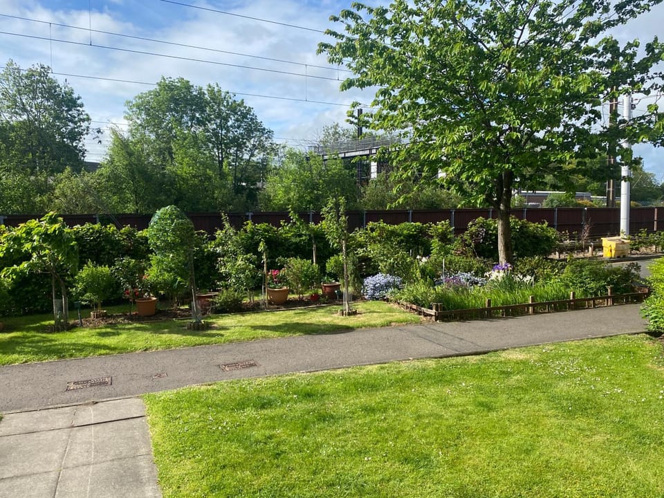 Garden view