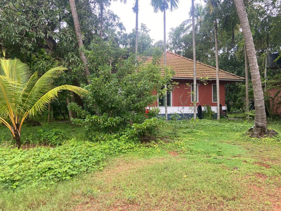 Solitude Riverside Green House House in Kerala