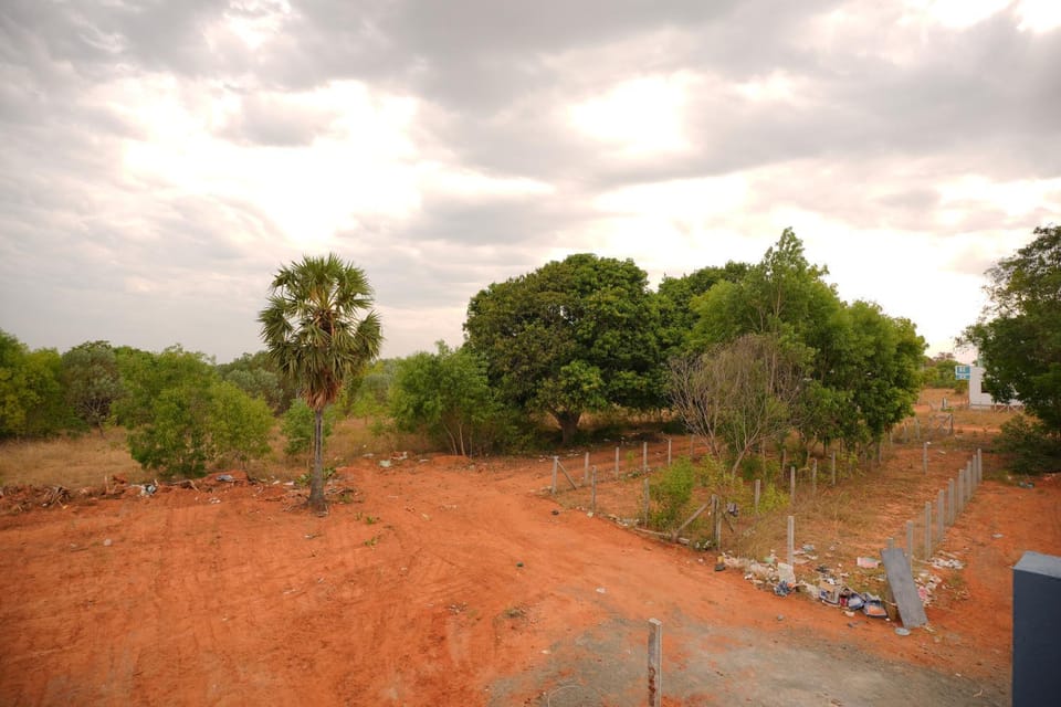 Day, Natural landscape