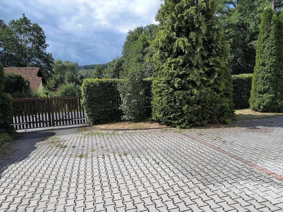 Volšovy Apartment Apartment in Czechia