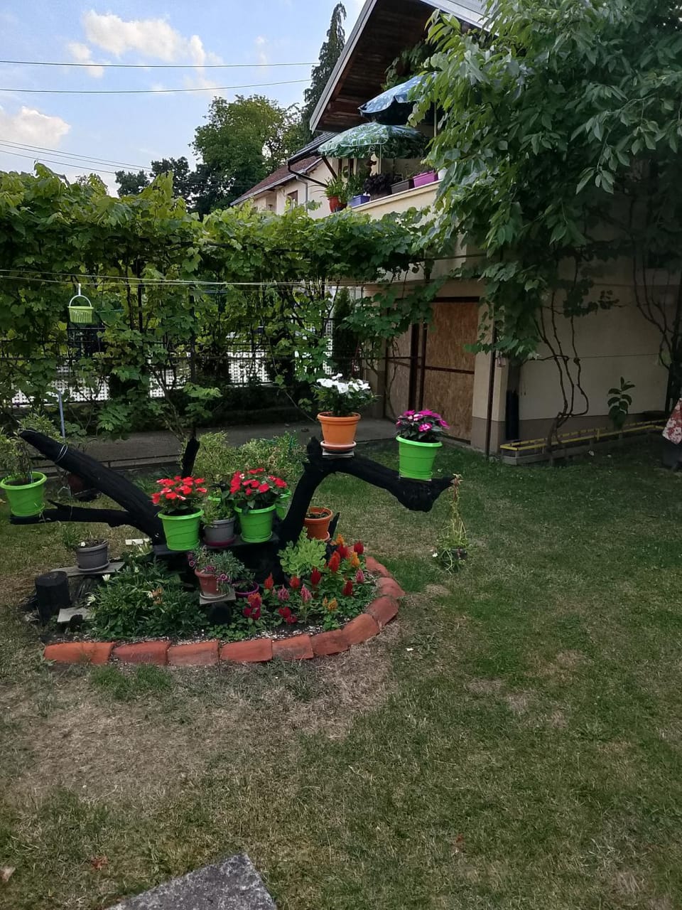 Vila Bis Apartment in Serbia