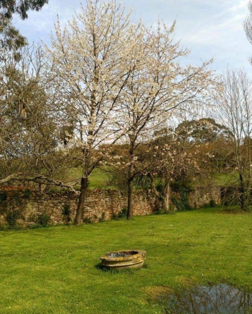 Casa Rural Ortulane Country House in Sopelana