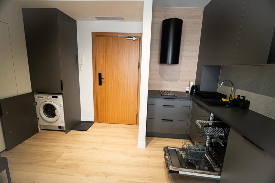 Kitchen or kitchenette, dishwasher, oven, stove, wardrobe