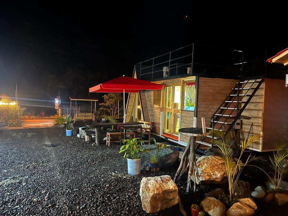 Patio, Night, Garden, Garden view
