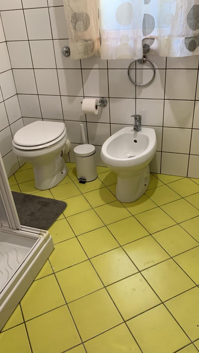 Toilet, Bathroom, bidet