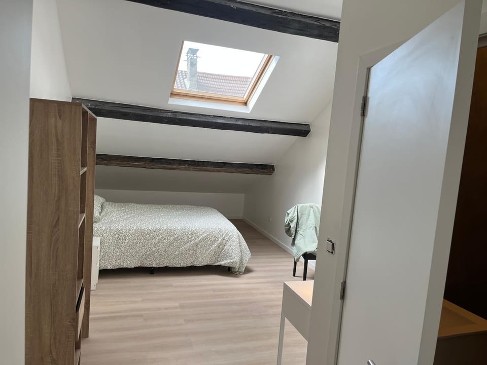 Frère Michel 3 Apartment in Liège