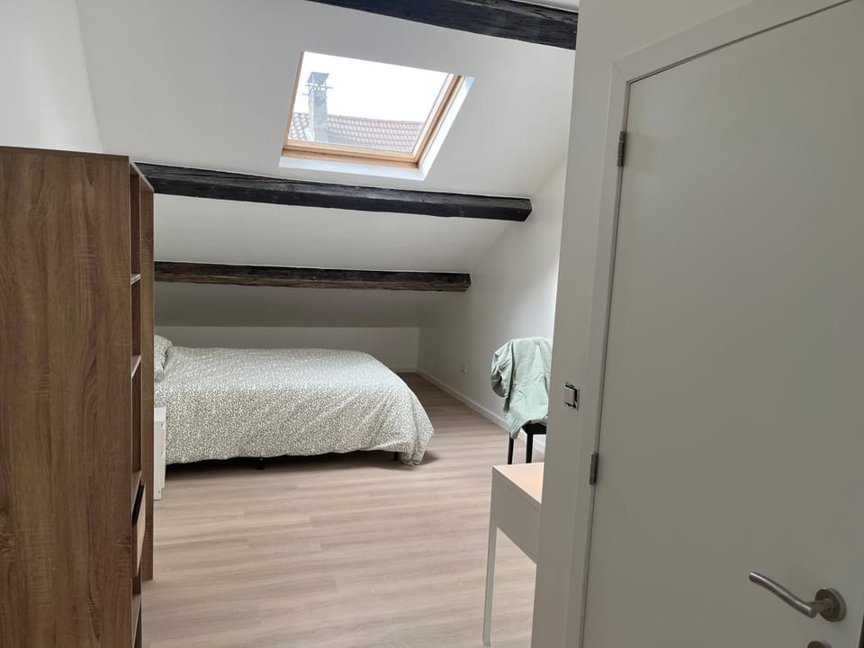 Frère Michel 3 Apartment in Liège