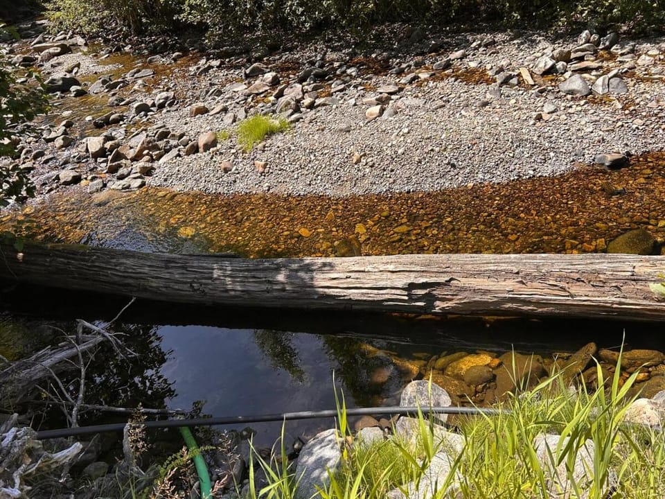 Privet creek side glamping Luxury tent in British Columbia