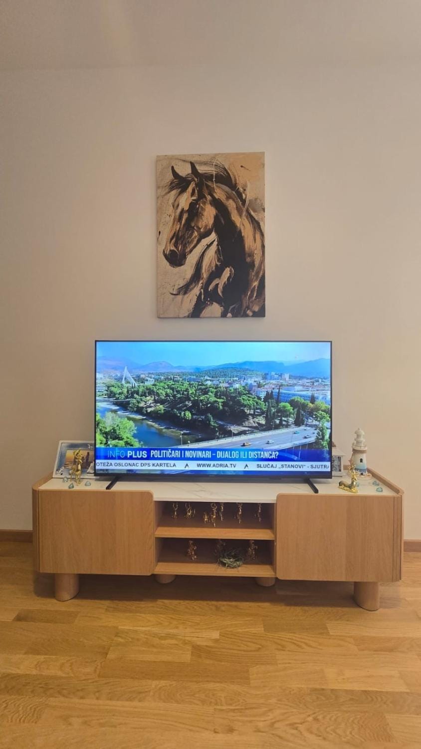 TV and multimedia