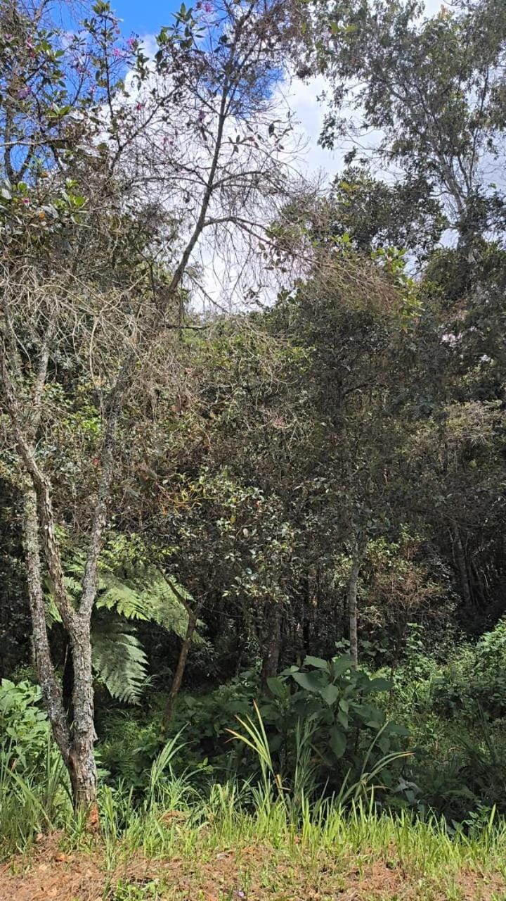 Sendero Ancestral Country House in Antioquia