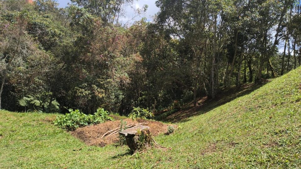 Sendero Ancestral Country House in Antioquia