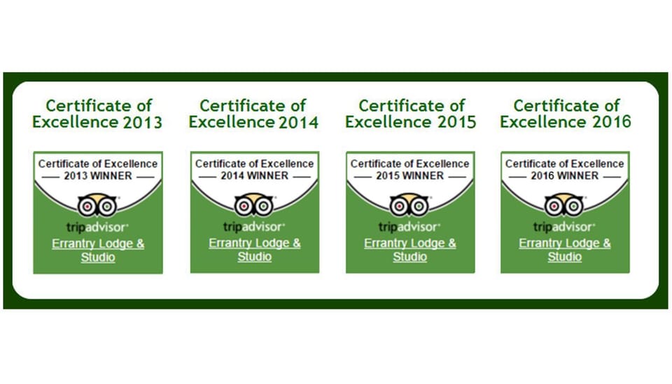 Logo/Certificate/Sign