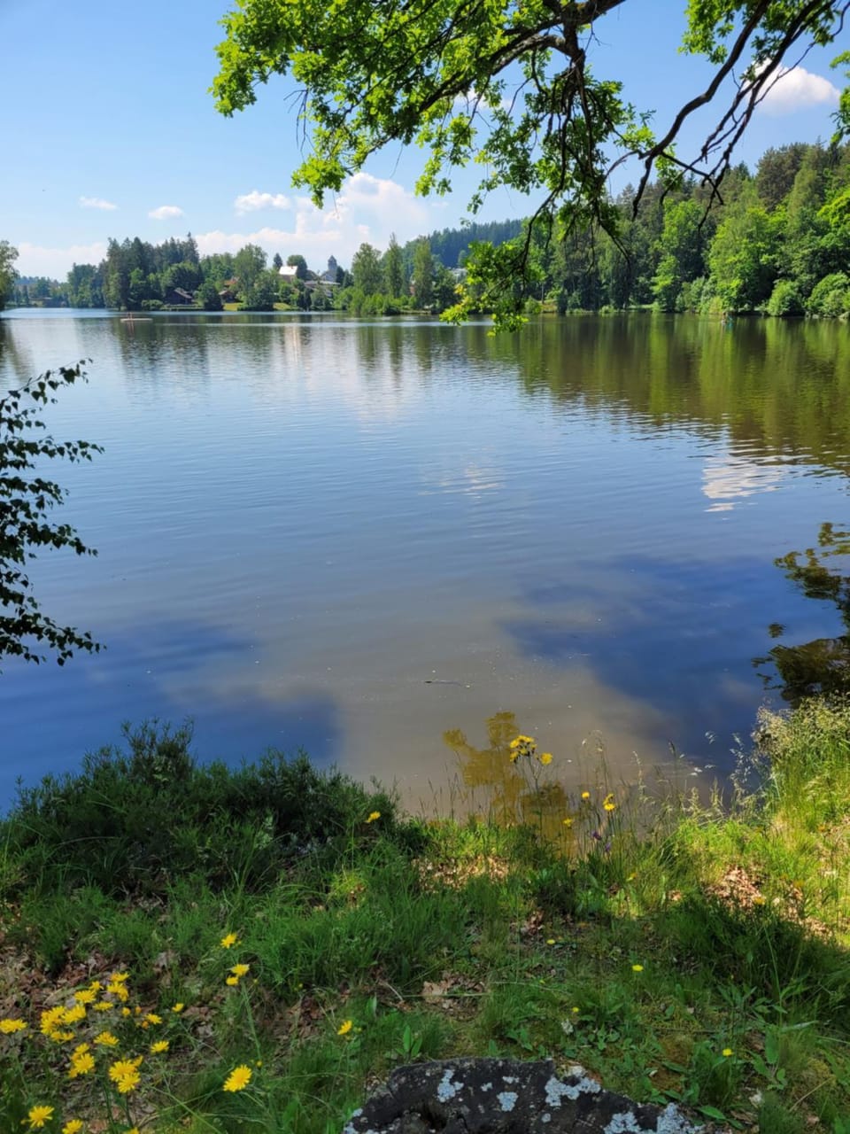 Haus Waldviertel am Herrensee Apartment in South Bohemian Region