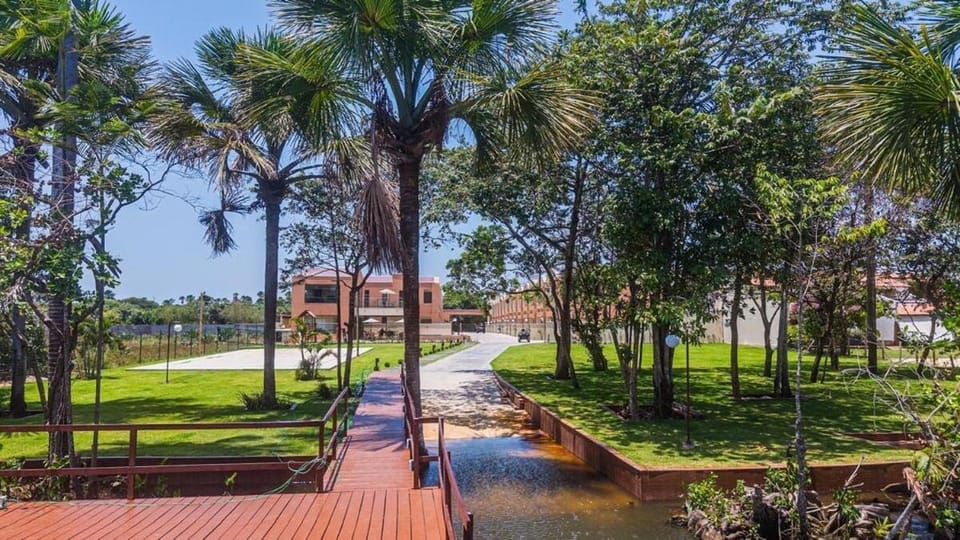 Day, Neighbourhood, Natural landscape, Garden, Garden, Garden view