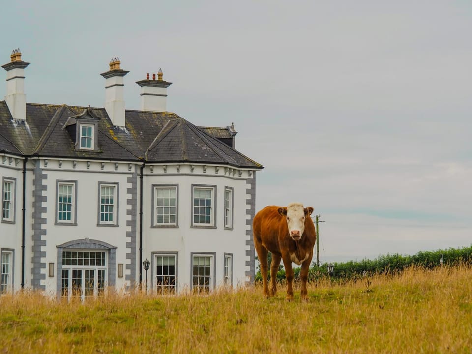 Property building, Natural landscape