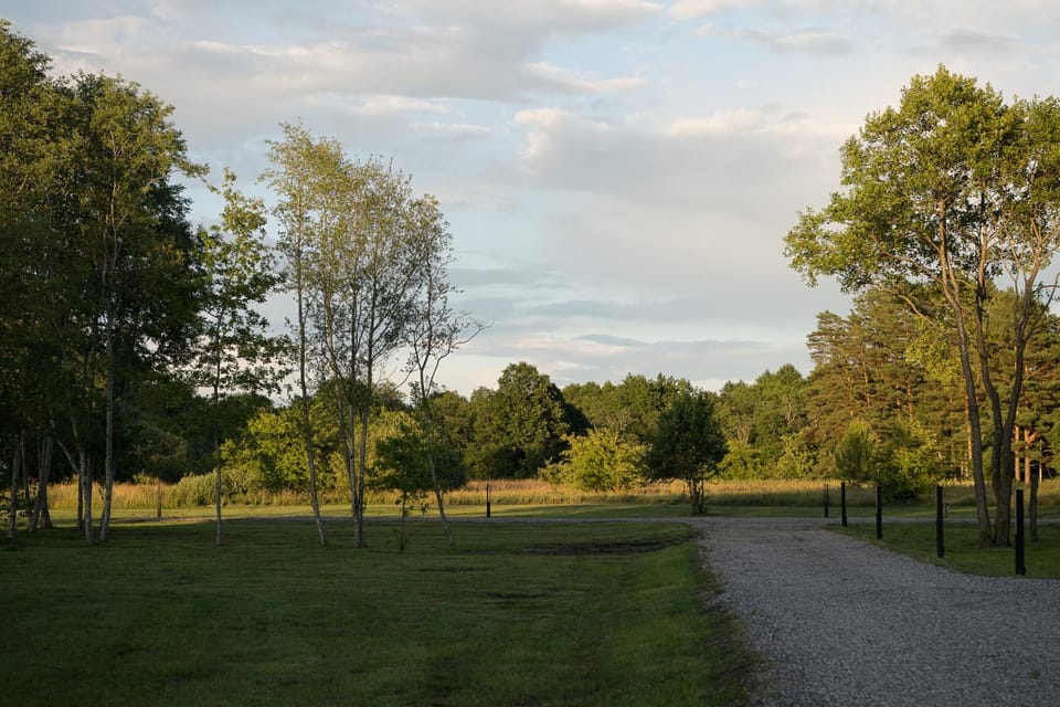 Natural landscape