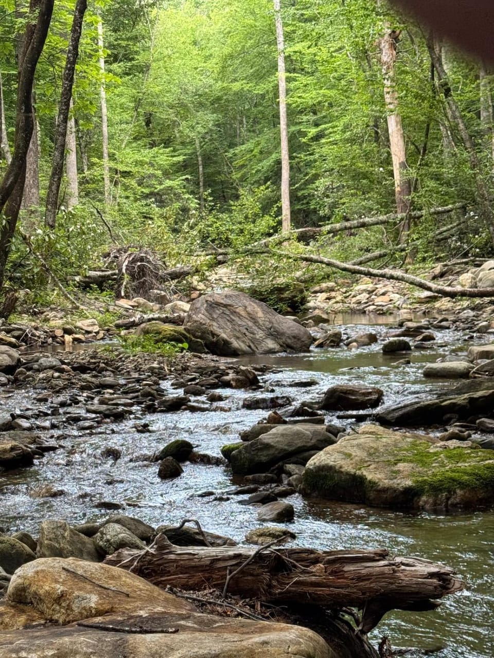 Natural landscape