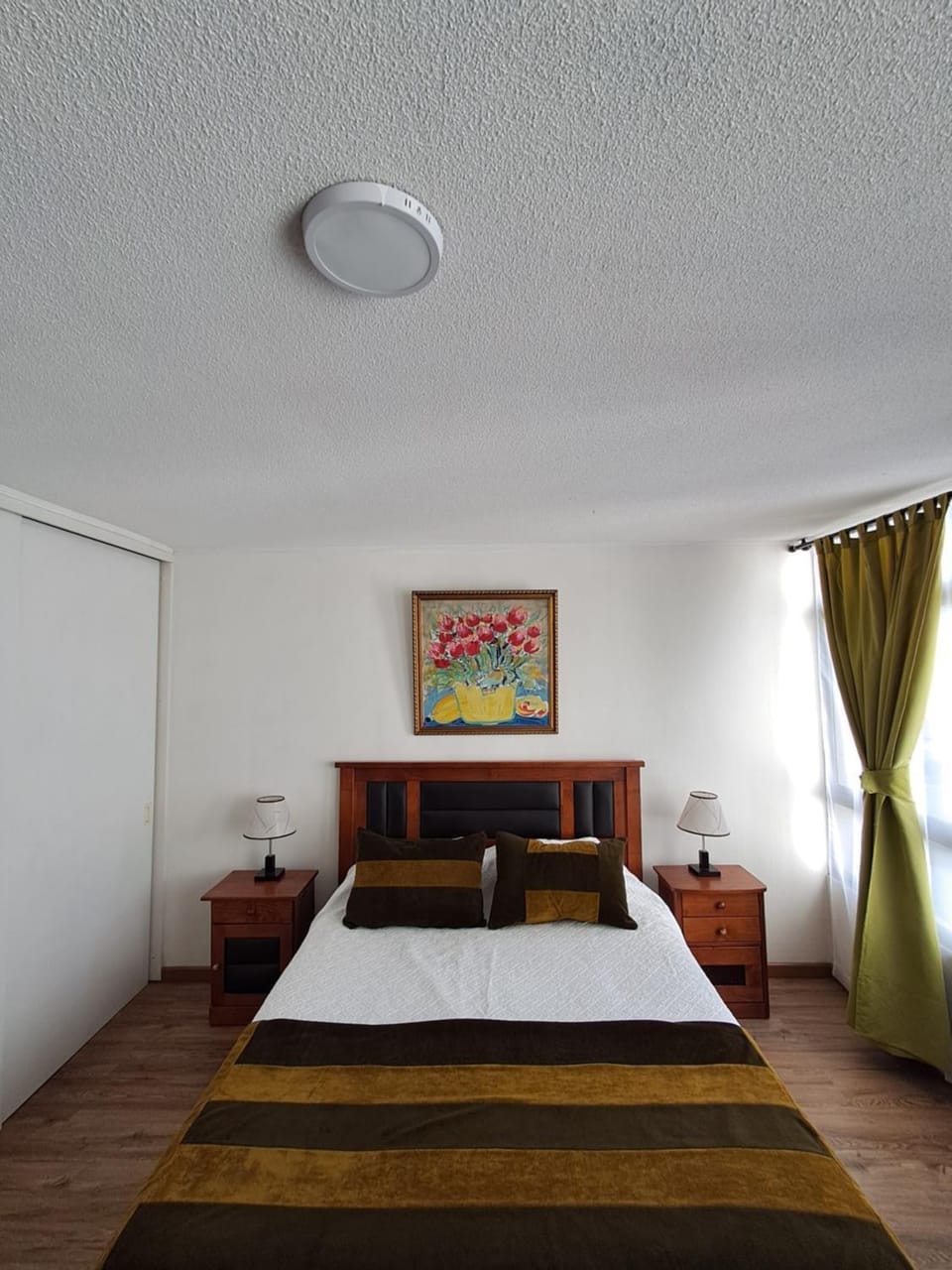 Departamento Santiago Moneda Apartment in Santiago