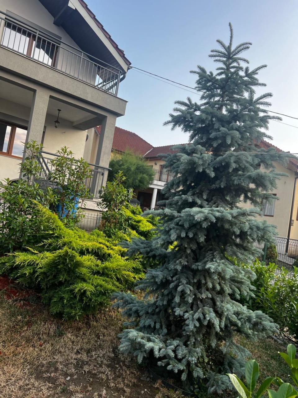 Rus House Villa in Cluj-Napoca