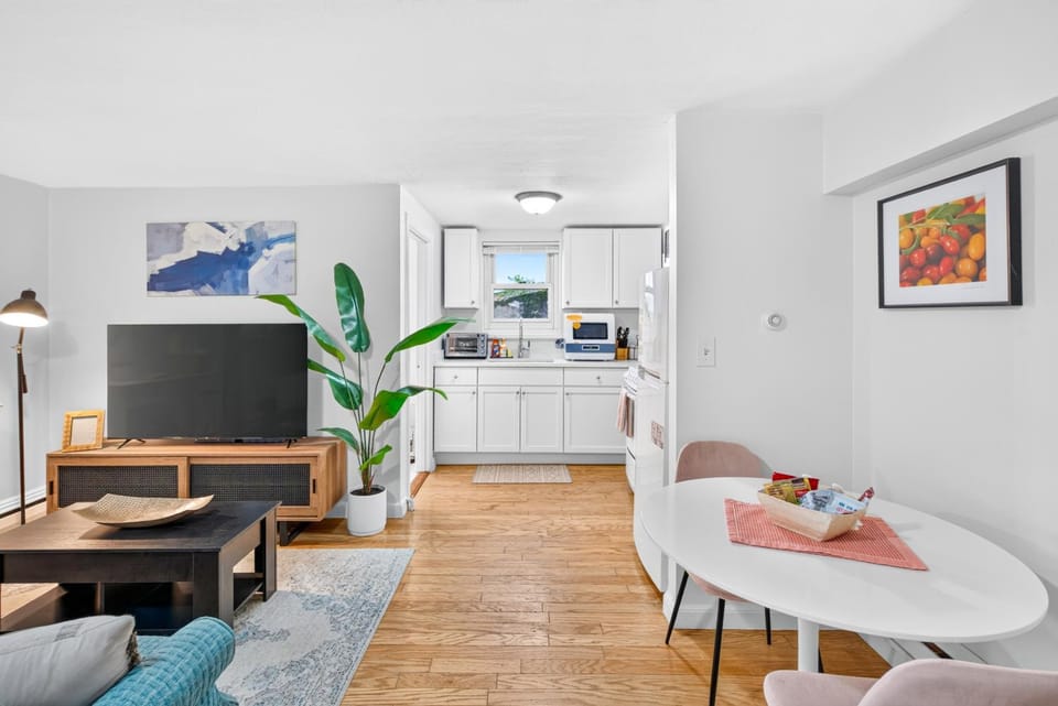 Oversized Renovated Furnished Studio Near Longwood Apartment in Jamaica Plain