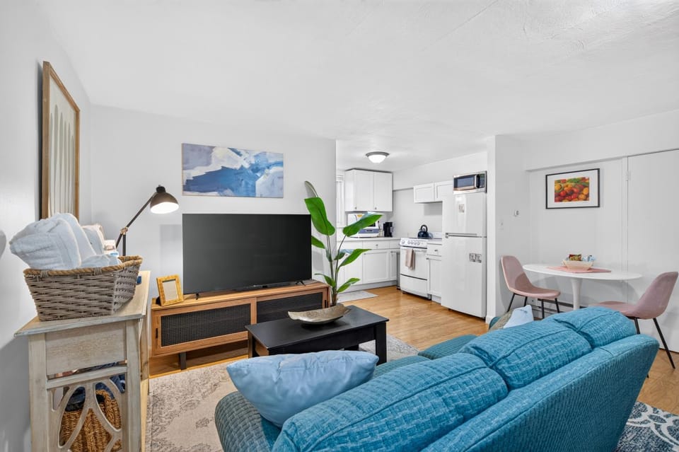 Oversized Renovated Furnished Studio Near Longwood Apartment in Jamaica Plain