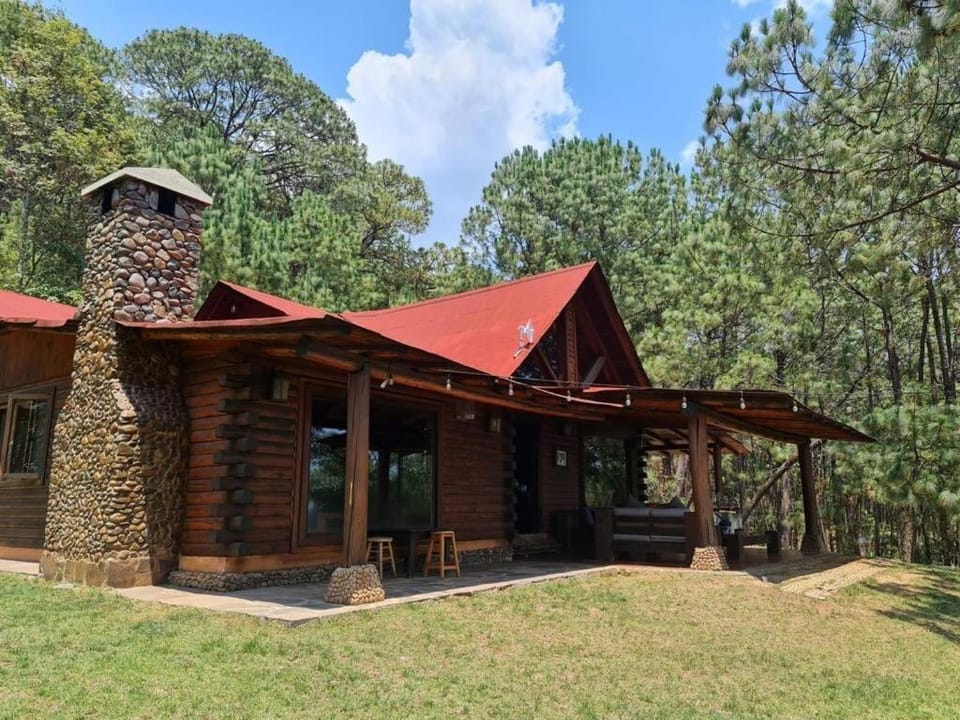 Property building, Garden, Garden view