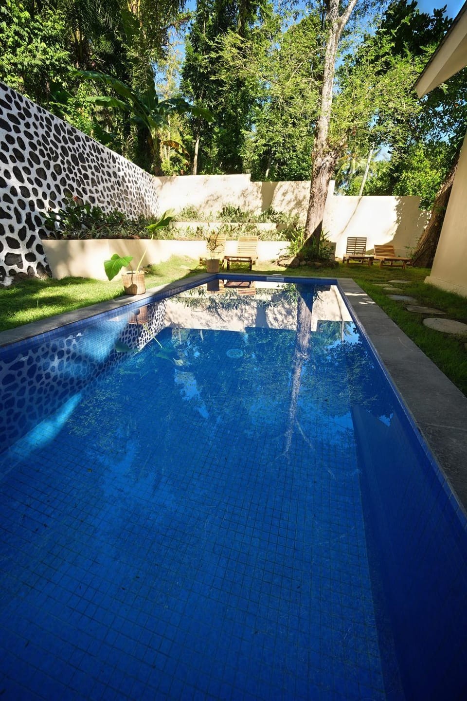 Day, Garden, Garden view, Pool view, Swimming pool, sunbed