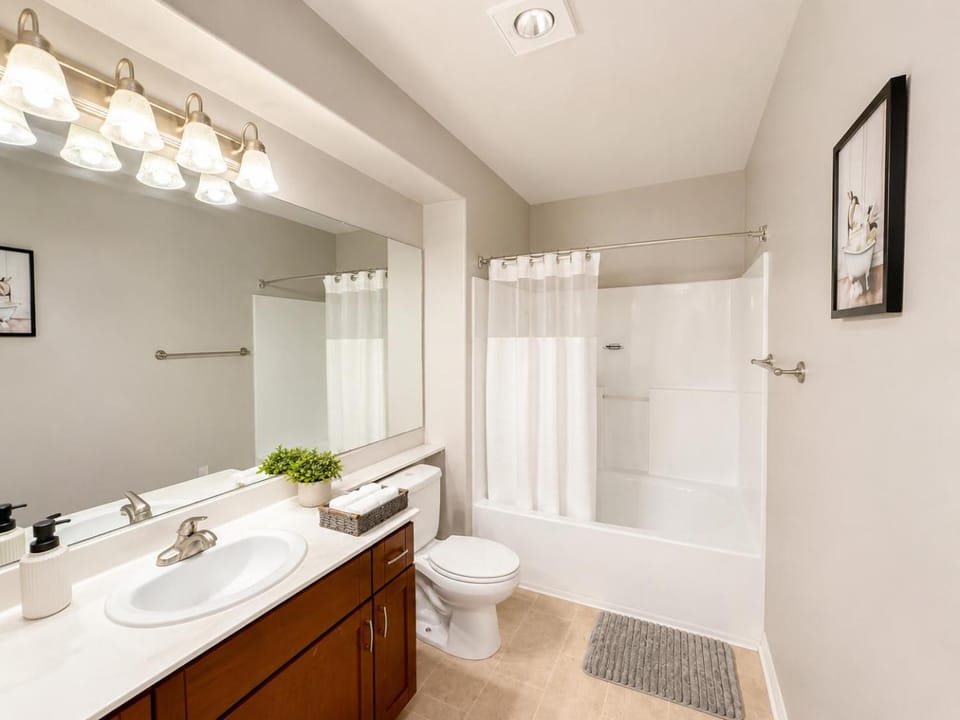 Shower, Toilet, Bathroom, Bath, towels