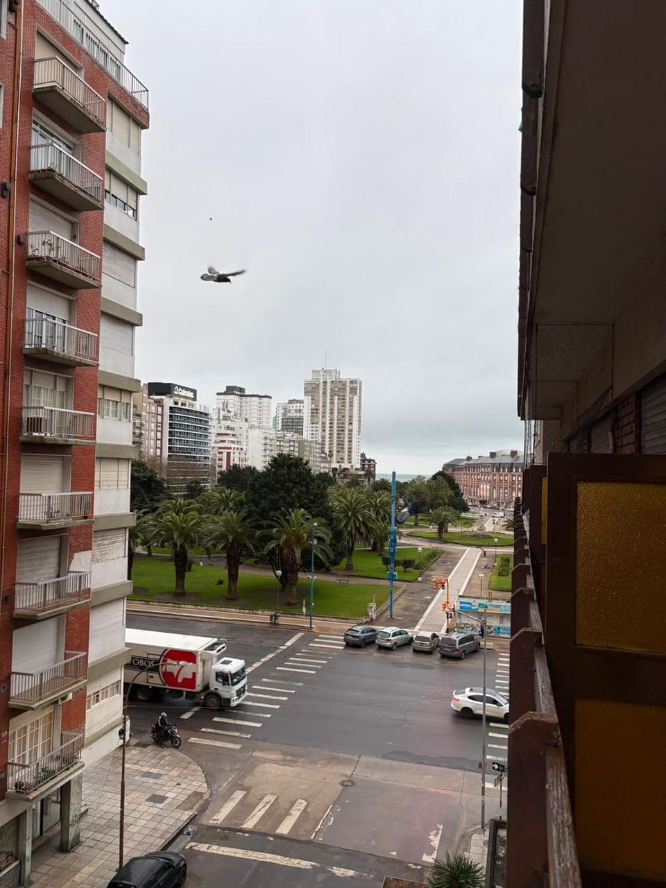 City view, Street view