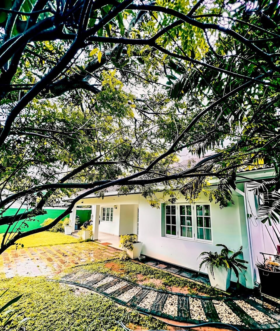 Property building, Spring, Day, Natural landscape, Garden, Garden view