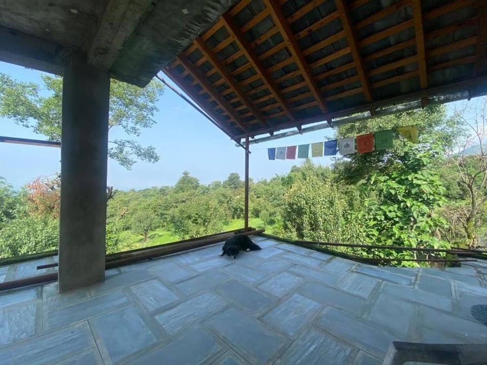 Birdsong Homestay House in Himachal Pradesh