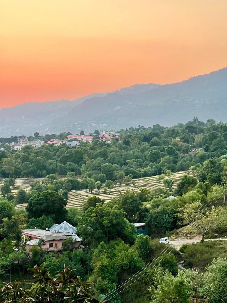 Birdsong Homestay House in Himachal Pradesh