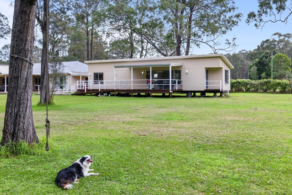 Property building, Natural landscape, Pets, Garden view