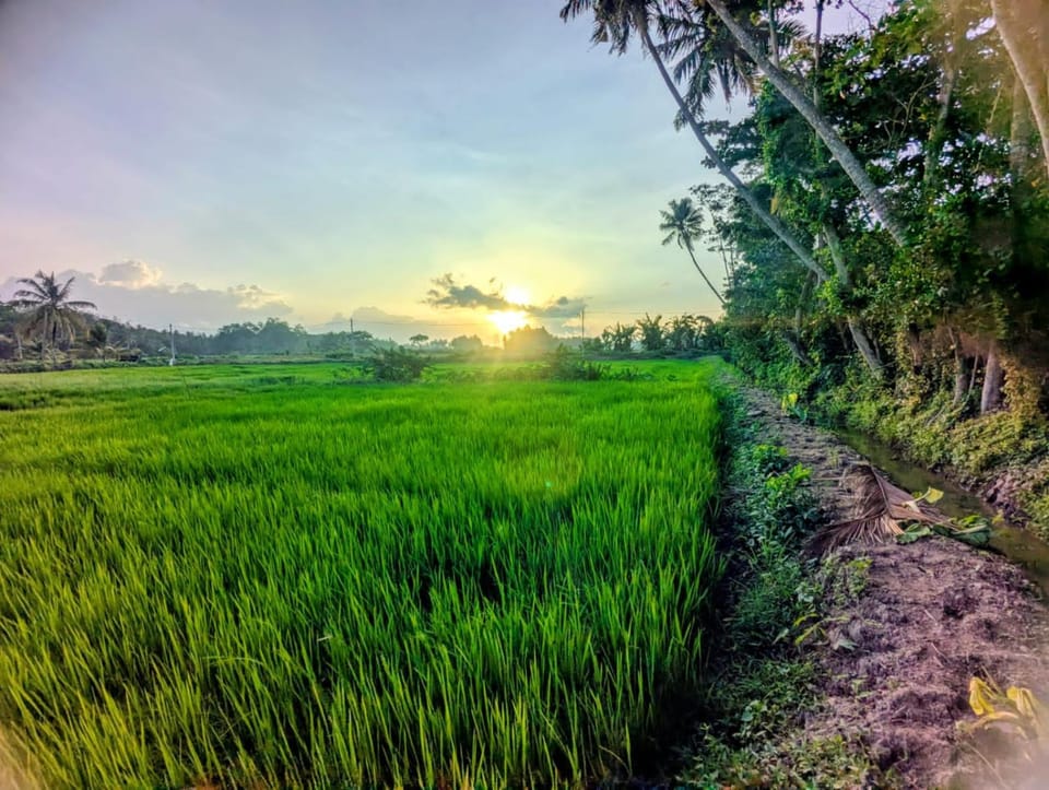 Natural landscape
