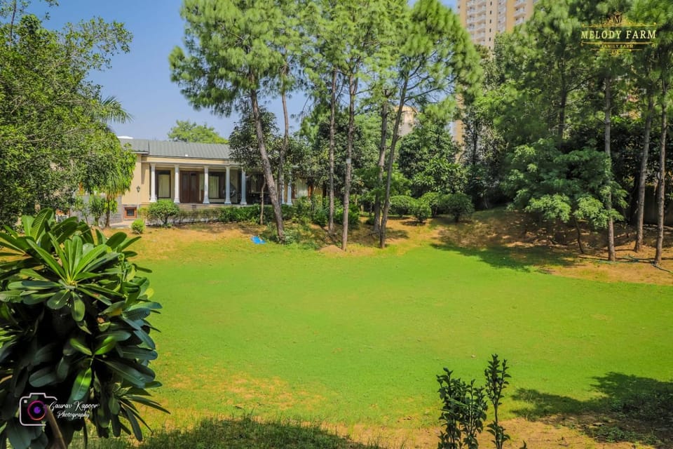 Day, Garden view