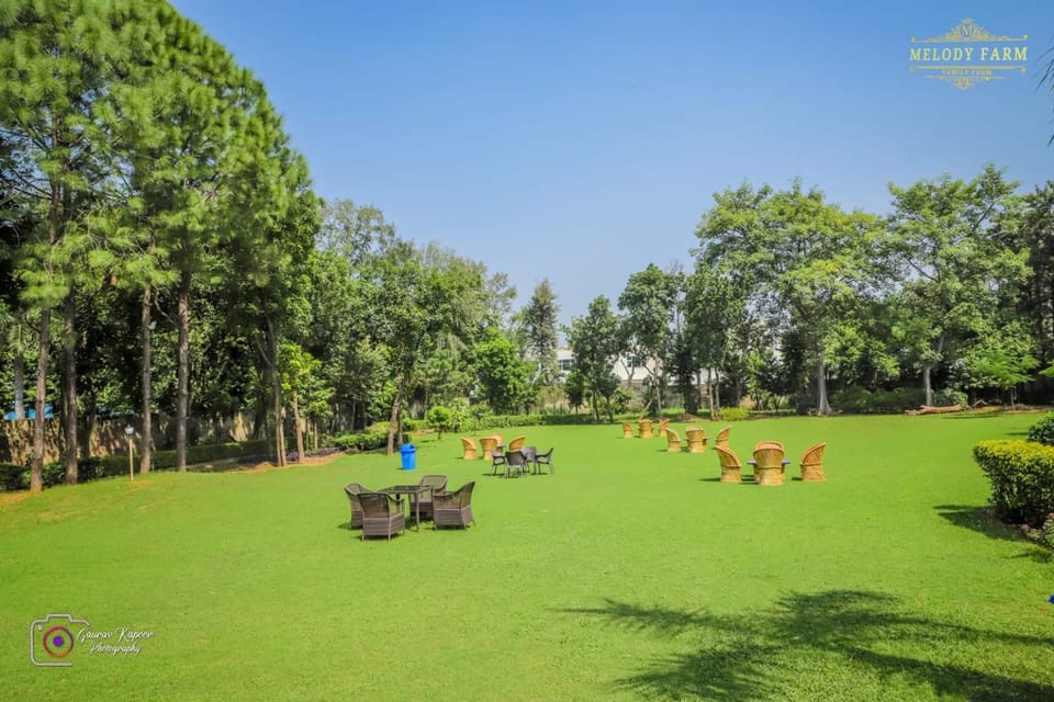 Day, People, Natural landscape, Garden, Garden view