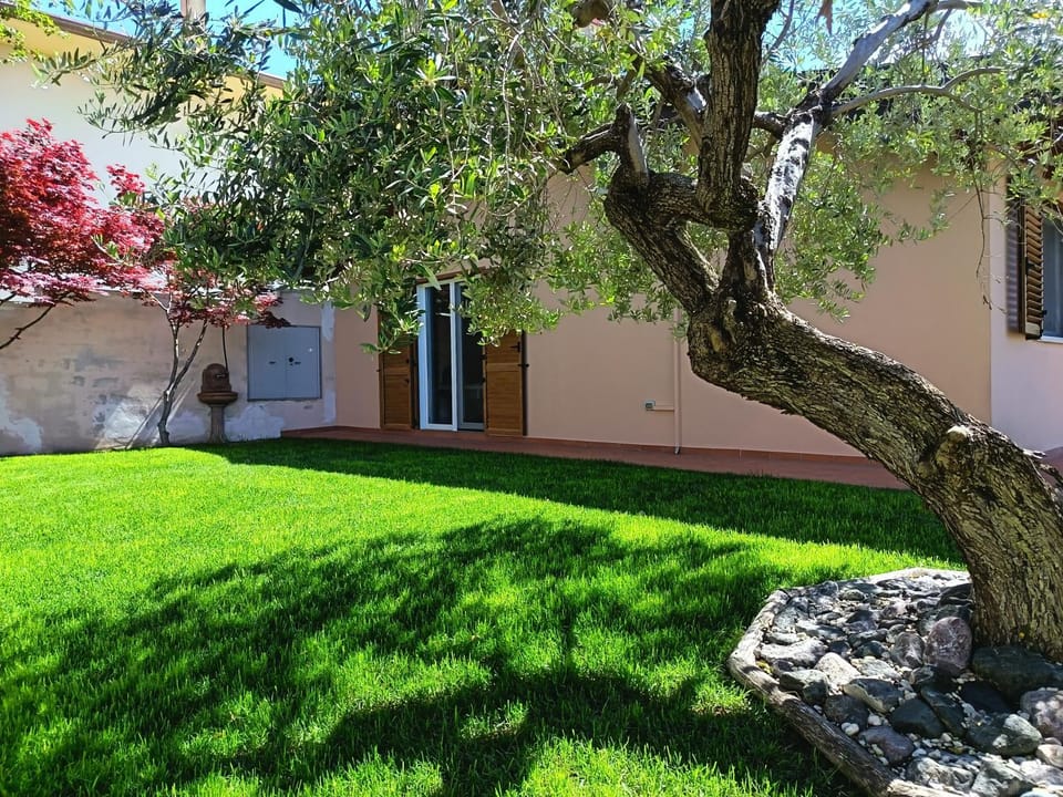 Property building, Garden, Garden view