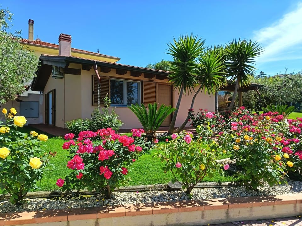 Property building, Garden