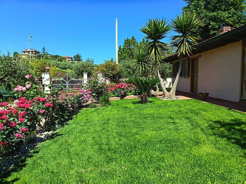 Garden, Garden view