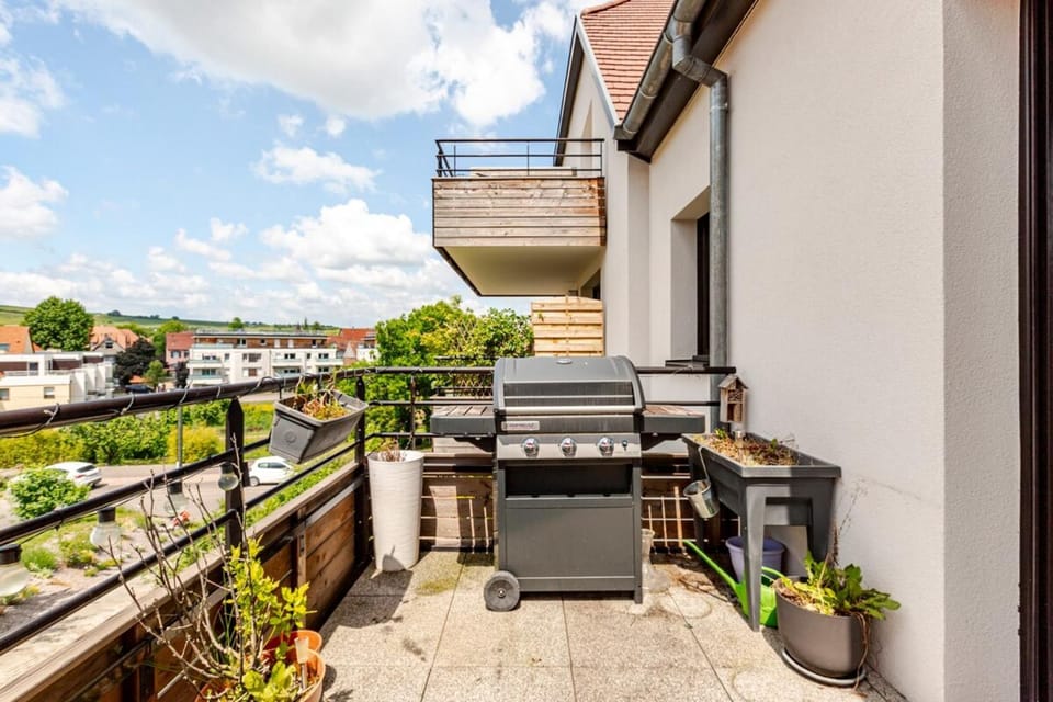 Cozy T2 1-bedroom with vineyard view Apartment in Grand Est
