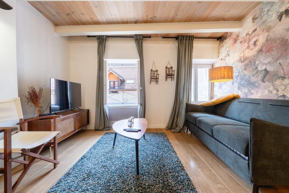 Beautiful apartment in the heart of Annecy Apartment in Annecy