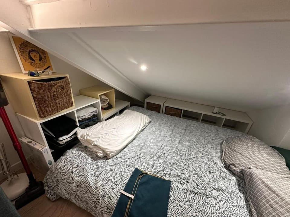 Small cocoon in Lyon, city center Apartment in Lyon