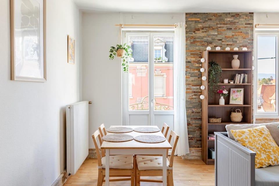 T2 cocooning à 10min à pied du Centre de Colmar Apartment in Colmar