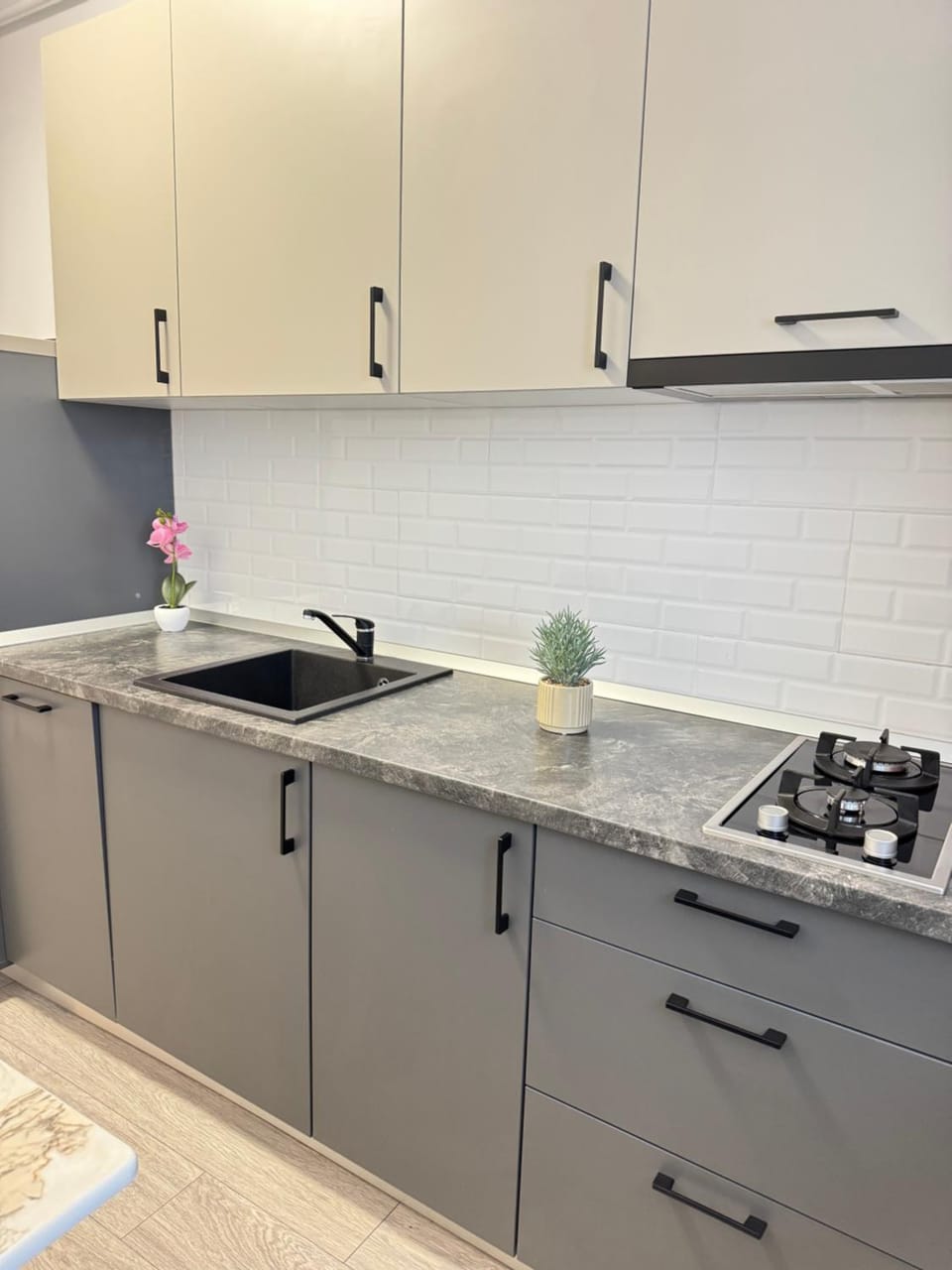 Kitchen or kitchenette, pet friendly, stove