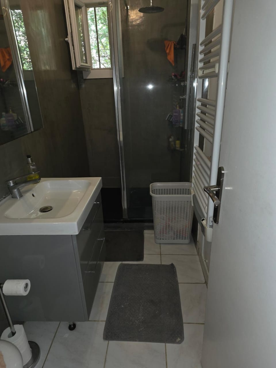 Shower, Toilet