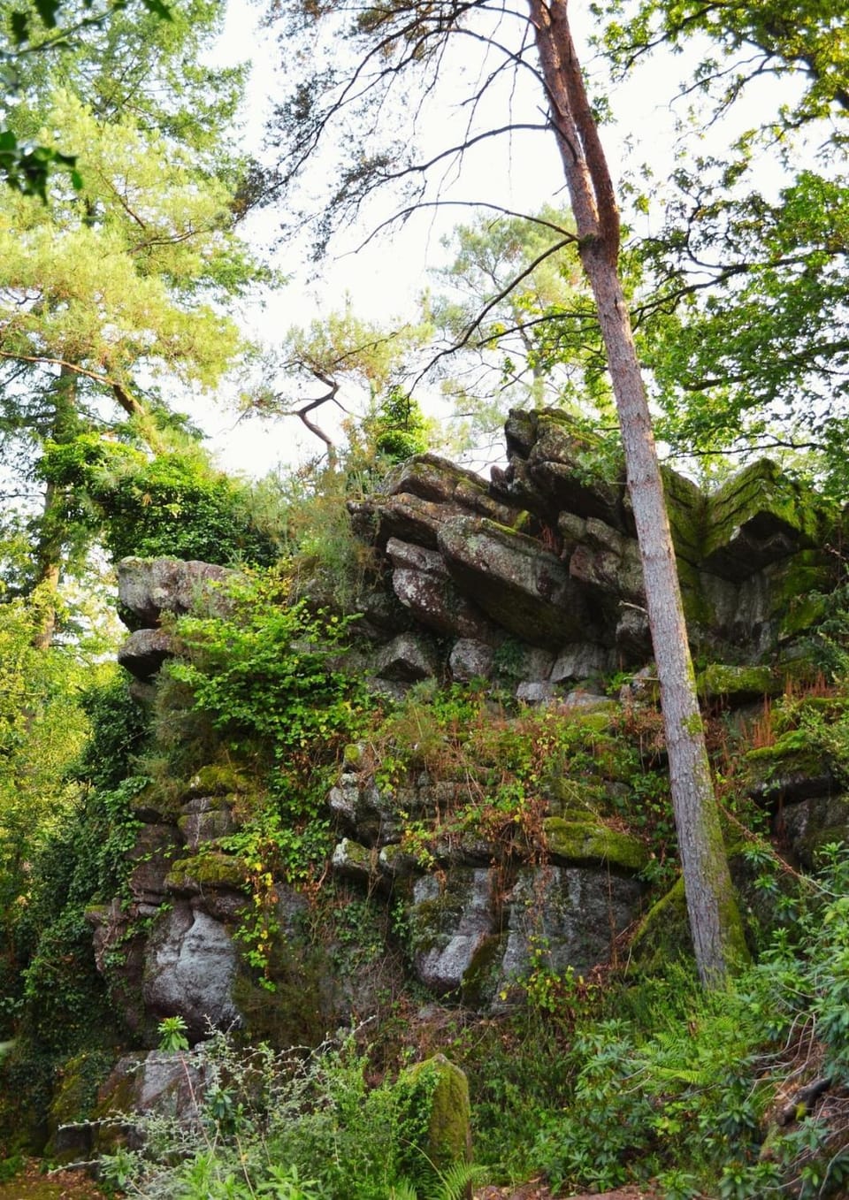 Cabane cosy au cœur de la forêt de Brocéliande Chalet in Brittany