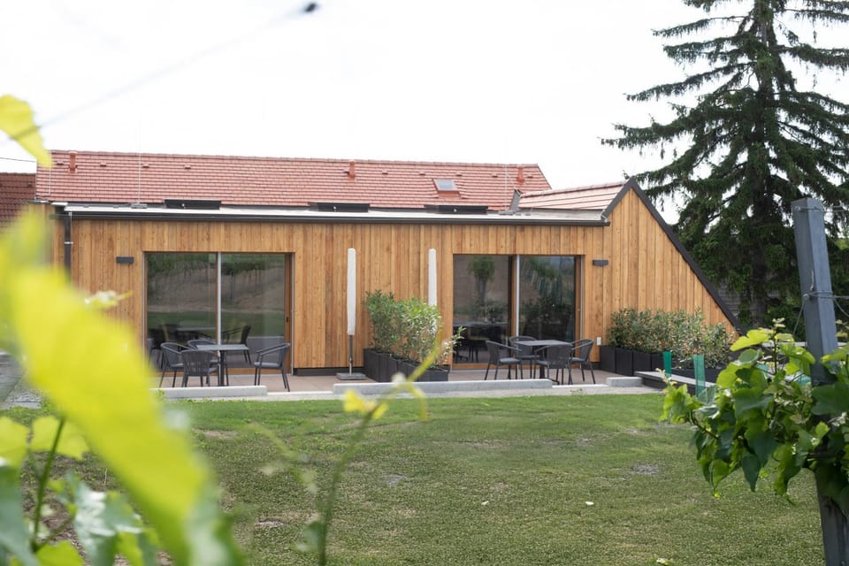Weinrefugium am Wagram - Weingut Öhlzelt Nature lodge in Austria